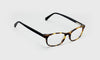 [18 - Matte Tortoise Front With Black Matte Temples]