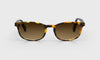 [18 - Matte Tortoise Front With Black Matte Temples]