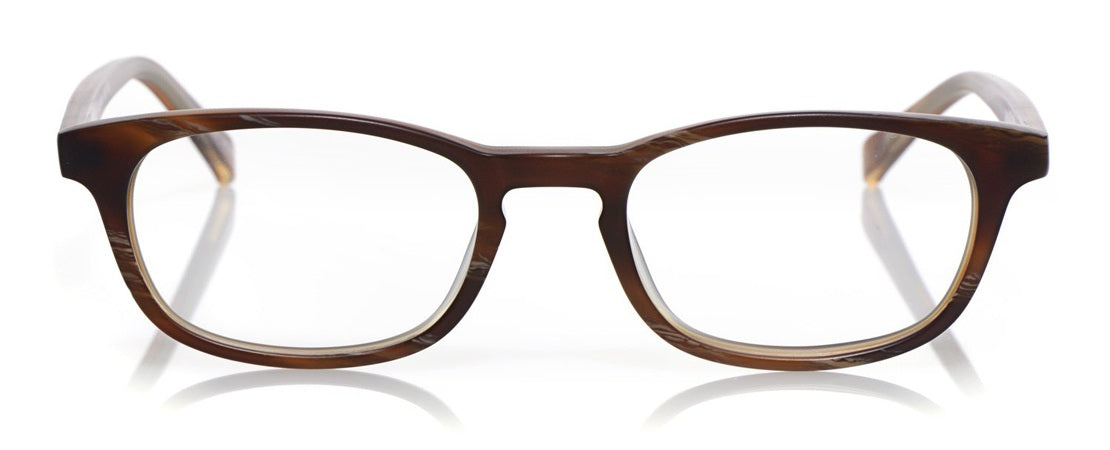 [26 - Brown Horn Front and Temples]