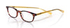 [78 - Red tortoise front with orange crystal temples]