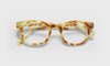 [04 - Caramel Tortoise Front and Temples]