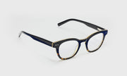 05 - Demi tortoise front with black temples