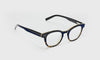 [05 - Demi tortoise front with black temples]