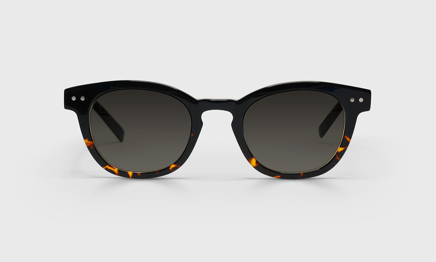 [05 - Demi tortoise front with black temples]