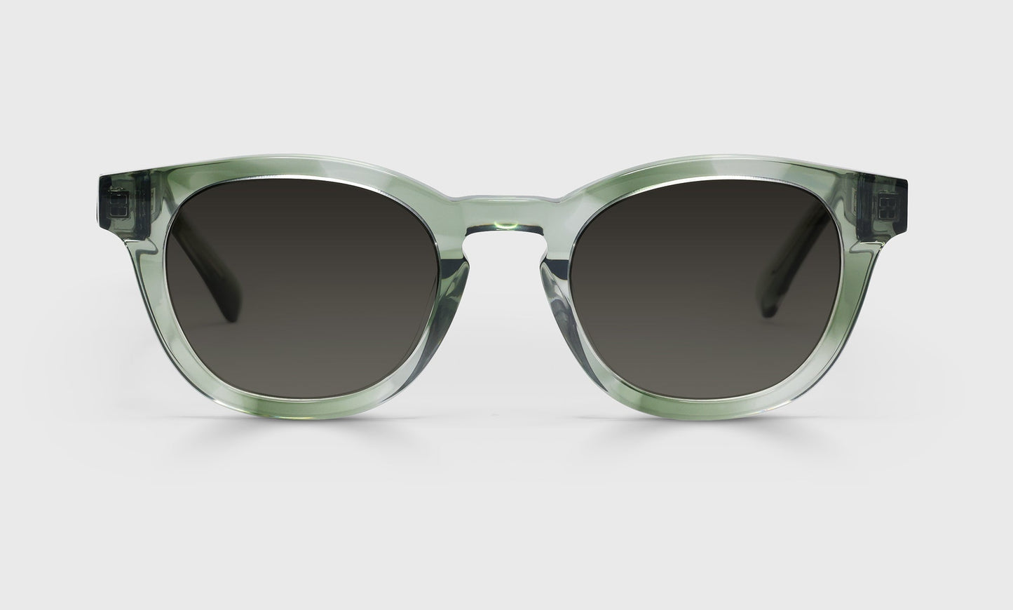 [17 - Green tortoise]