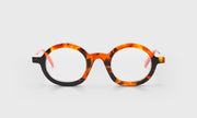 41 - Tortoise Front with Red Crystal Temples