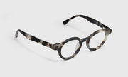 74 - Matte Grey Tortoise Front and Temples