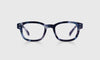 [13 - Blueberry Tortoise Front and Temples]