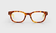 T15 - Tortoise Front with Clear Temples