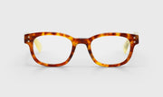 T15 - Tortoise Front with Clear Temples