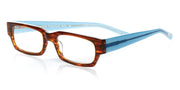 16 - Brown plank front with blue crystal temples