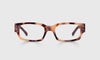 [22 - Vanilla Tortoise Front with Brown Crystal Temples]