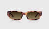 [22 - Vanilla Tortoise Front with Brown Crystal Temples]