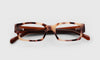 [22 - Vanilla Tortoise Front with Brown Crystal Temples]