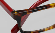 41 - Tortoise Front with Red Temples