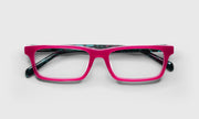 45 - Fuschia Front and Pink with Teal Zebra Temples