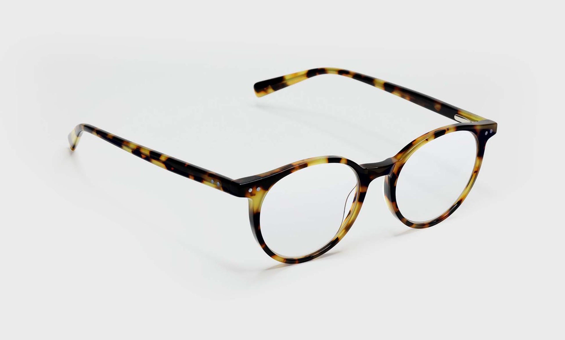 [19 - Tortoise Front and Temples]