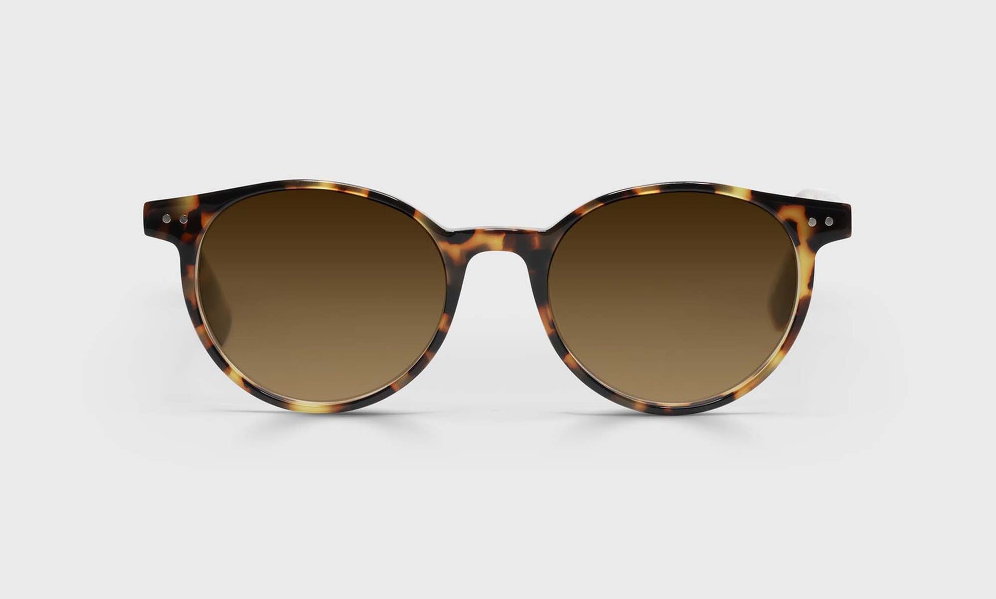 [19 - Tortoise Front and Temples]