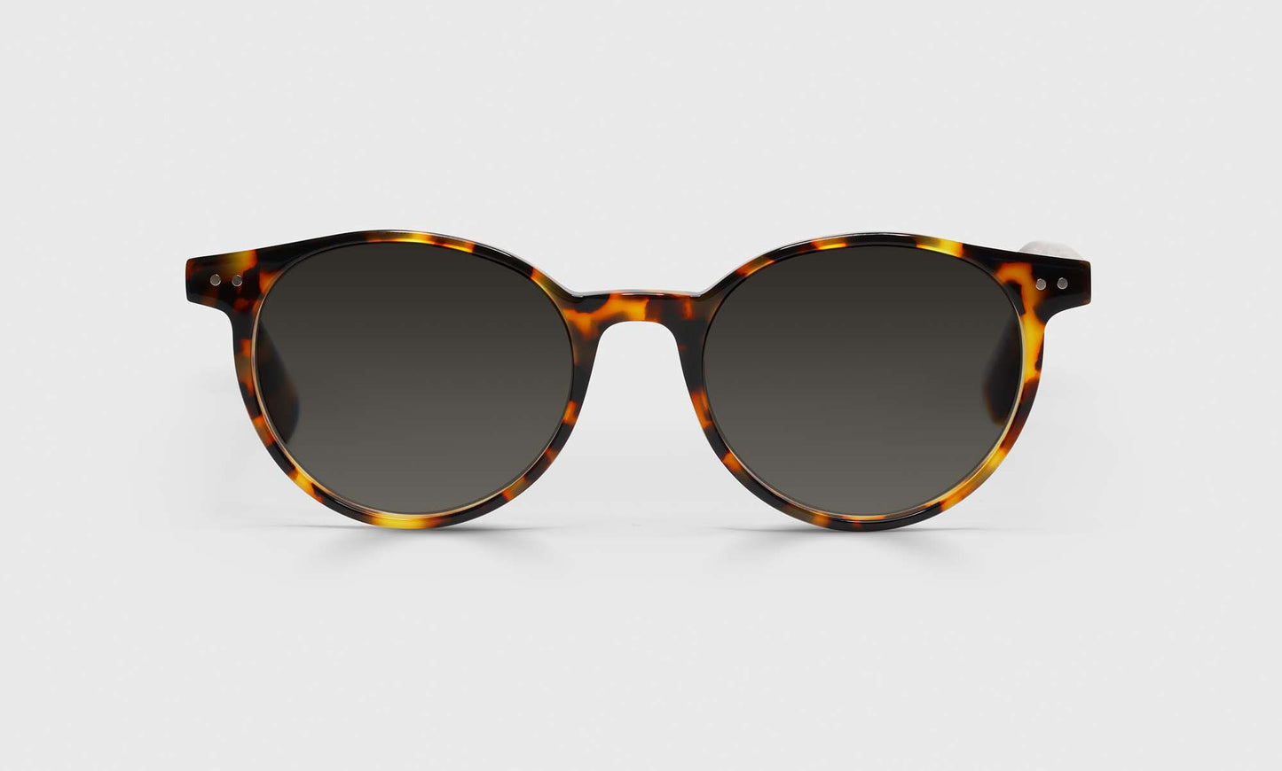 [19 - Tortoise Front and Temples]