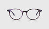 [20 - Lavender Tortoise Front and Temples]