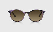 20 - Lavender Tortoise Front and Temples