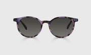 20 - Lavender Tortoise Front and Temples