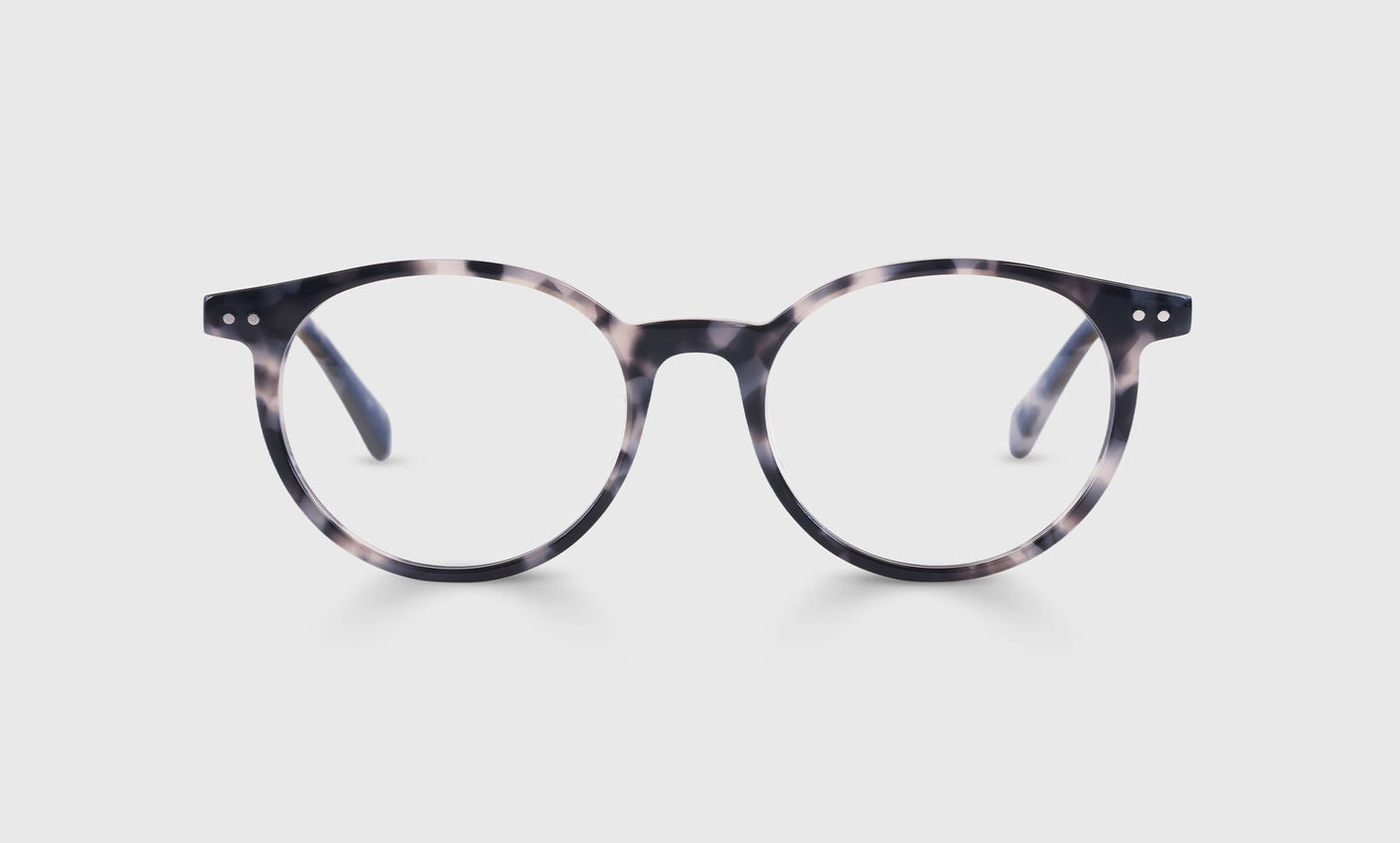 [23 - Snow White Tortoise Front and Temples]