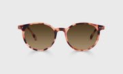 43 - Blush Pink Tortoise Front and Temples