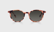 43 - Blush Pink Tortoise Front and Temples