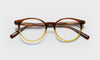 [88 - Brown & Blonde Front with Brown Temples]