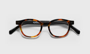 19 - Tortoise front with black temples