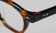 19 - Tortoise front with black temples