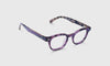 [20 - Violet Tortoise Front and Temples]