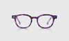 [20 - Violet Tortoise Front and Temples]