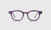 20 - Violet Tortoise Front and Temples