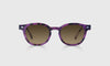 [20 - Violet Tortoise Front and Temples]