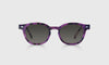 [20 - Violet Tortoise Front and Temples]