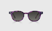 20 - Violet Tortoise Front and Temples