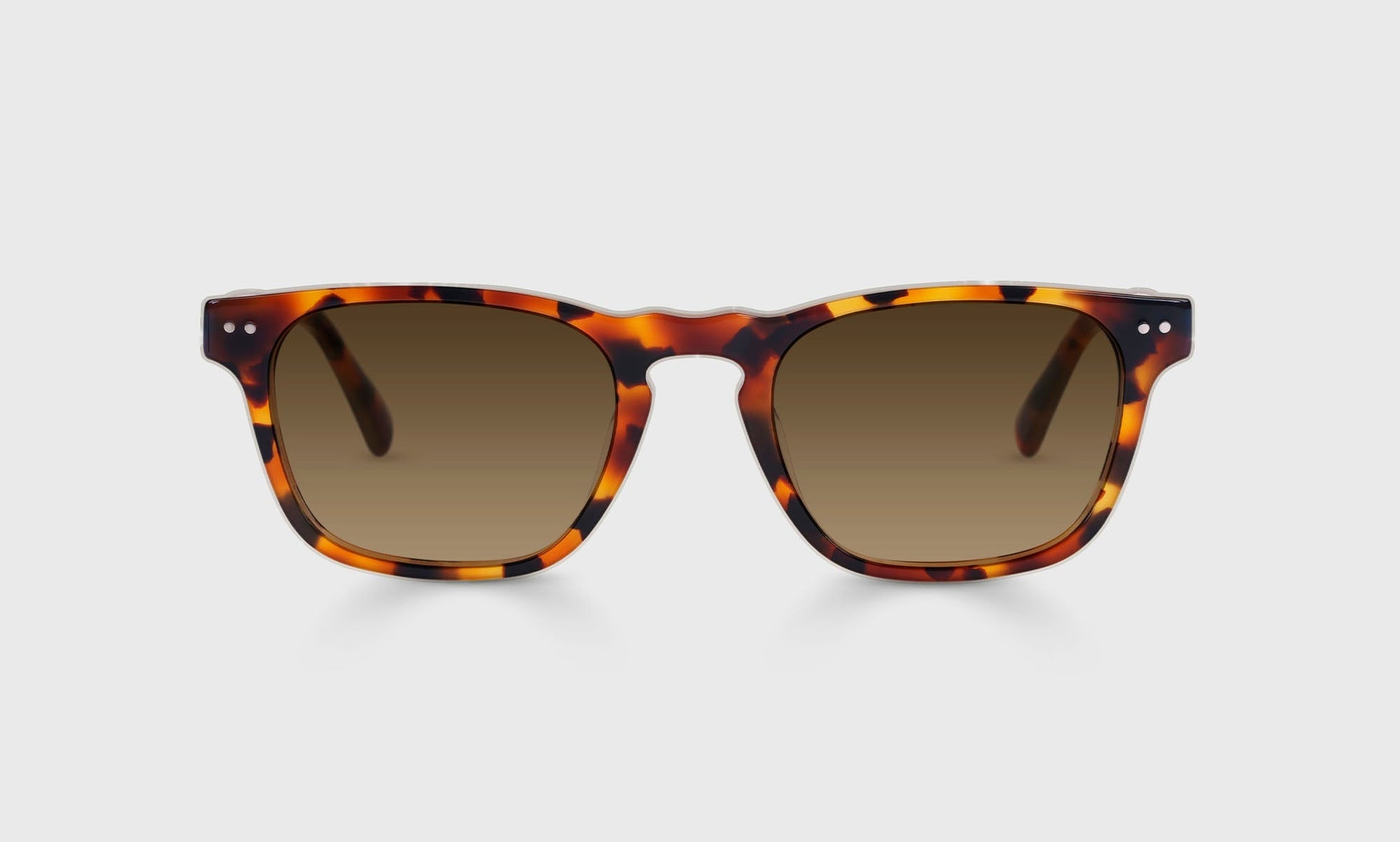 [19 - Tortoise Front and Temples]