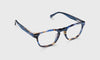 [50 - Blue and Brown Tortoise Front and Temples]