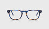 [50 - Blue and Brown Tortoise Front and Temples]