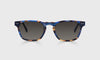 [50 - Blue and Brown Tortoise Front and Temples]