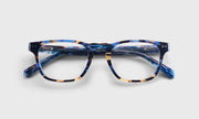 50 - Blue and Brown Tortoise Front and Temples