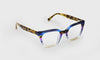 [15 - Purple Stripe Front with Tortoise Temples]