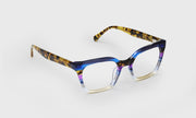 15 - Purple Stripe Front with Tortoise Temples