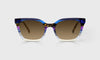 [15 - Purple Stripe Front with Tortoise Temples]