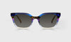 [15 - Purple Stripe Front with Tortoise Temples]