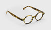 [19 - Tortoise Stripe Front with Tortoise Temples]