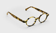 19 - Tortoise Stripe Front with Tortoise Temples