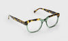 [17 - Green and Tortoise Front with Tortoise Temples]